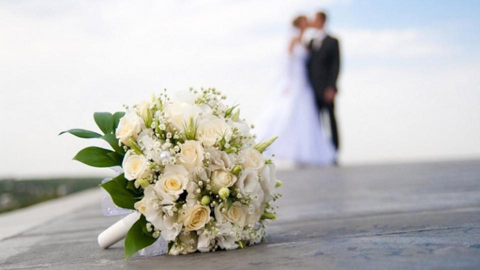 Manje vjenčanih i razvedenih: Na ludi kamen stalo 2026 parova | Radio Televizija Budva