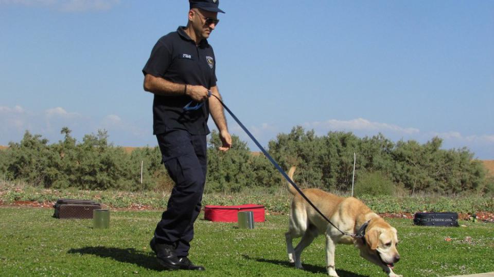 Čile dresira pse za otkrivanje oboljelih od korone | Radio Televizija Budva