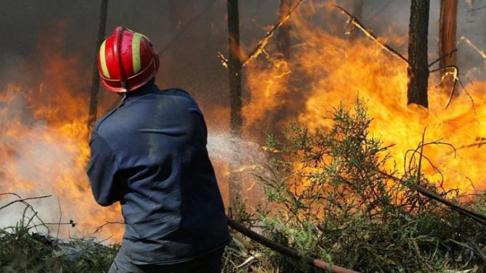 Direktorat za vanredne situacije upozorava na povećan rizik od požara | Radio Televizija Budva