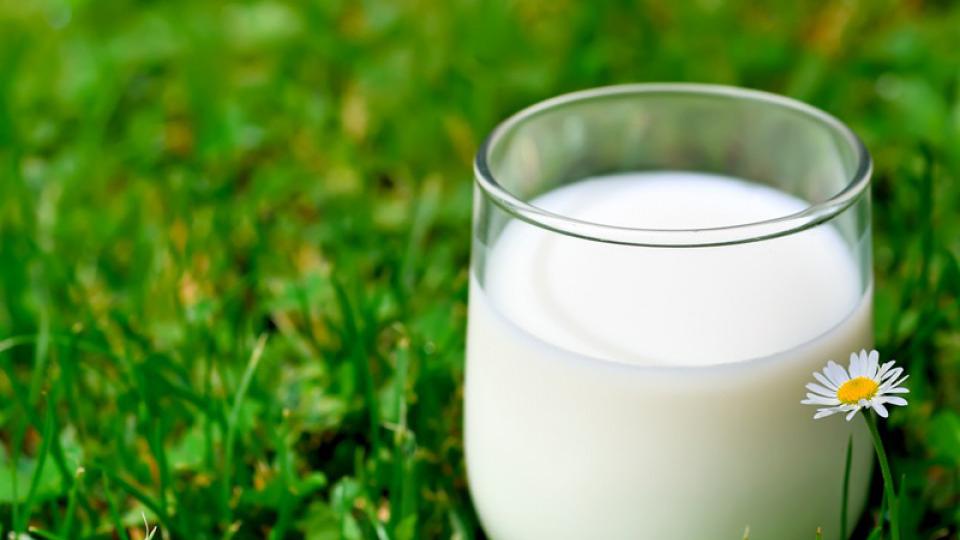 Zašto treba popiti šolju mlijeka pred spavanje | Radio Televizija Budva