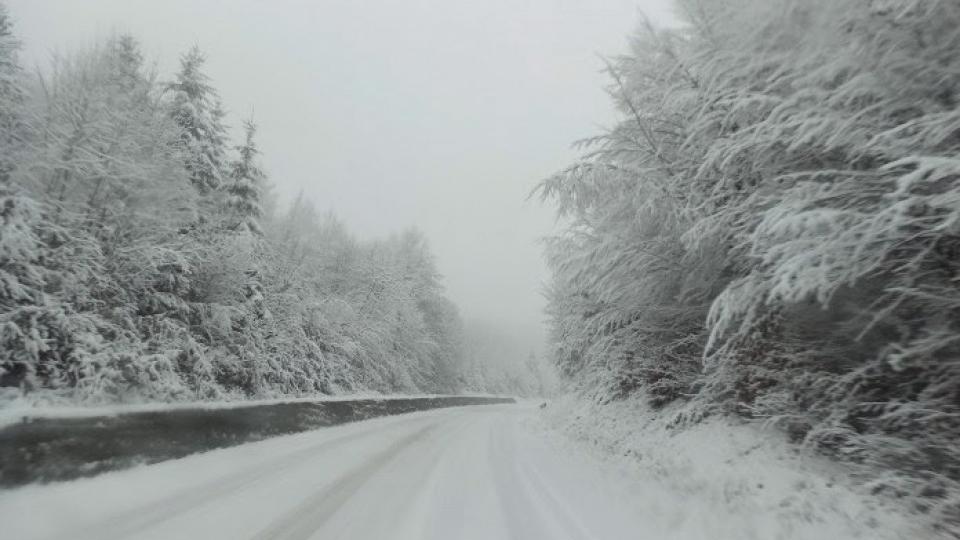 Zbog snijega na planinama u Srbiji otežan saobraćaj - putari na terenu | Radio Televizija Budva