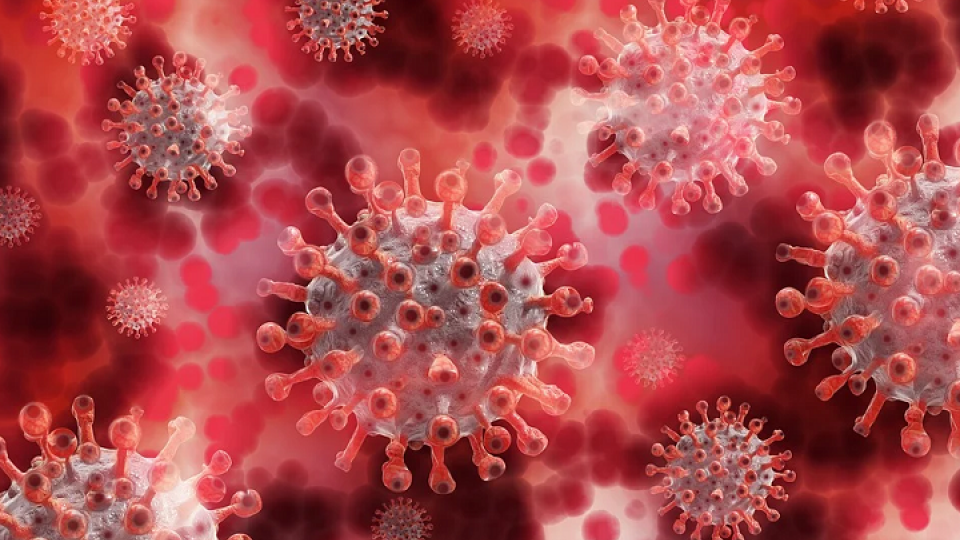 ECB: Pandemija i dalje predstavlja veliki rizik, uprkos vakcinaciji | Radio Televizija Budva