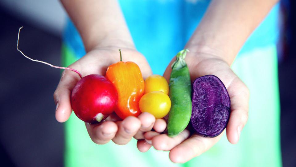 Besplatno voće, povrće i mliječni proizvodi u 17 škola u Crnoj Gori | Radio Televizija Budva