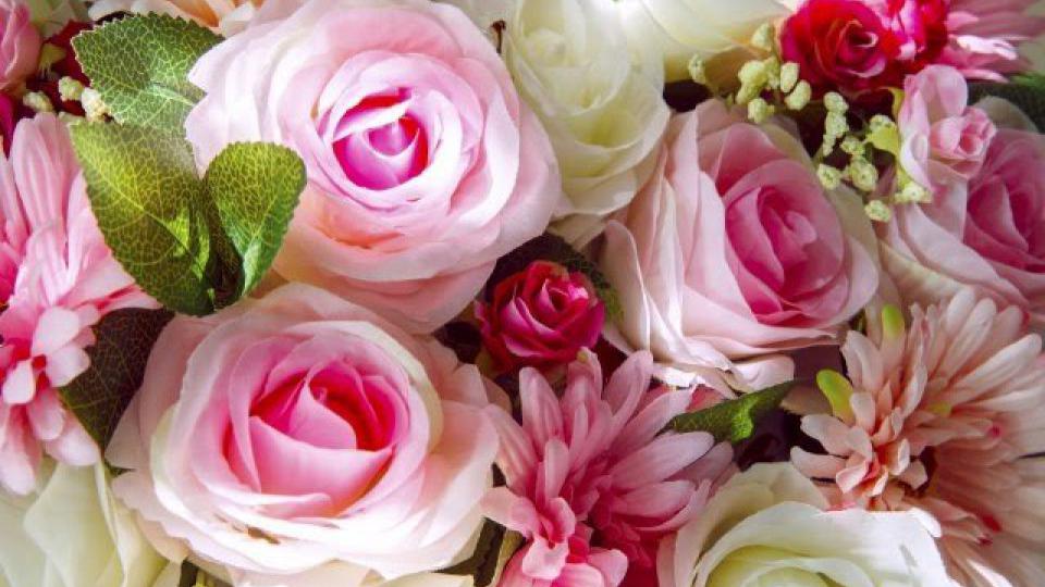 Izvezli 70 miliona cvetova uoči Dana zaljubljenih, čak i u Holandiju | Radio Televizija Budva