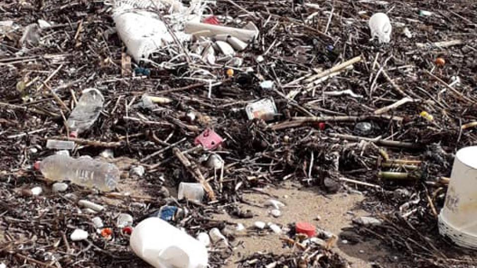 JPMD izdalo nalog da zakupci plaža počnu sa čišćenjem i uređivanjem obale | Radio Televizija Budva