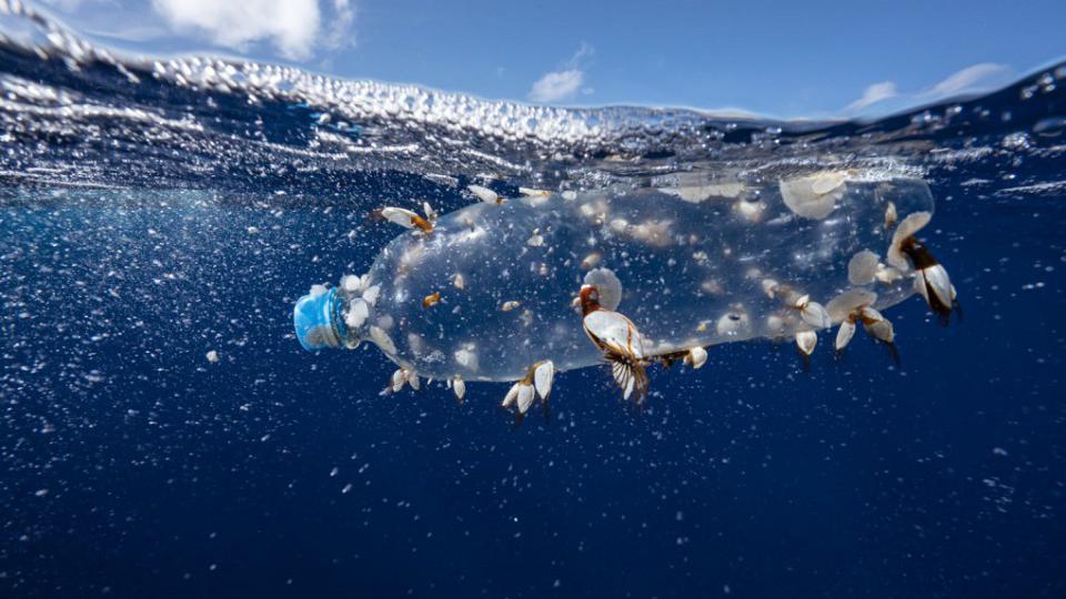 EP zatražio mjere za hitno smanjenje morskog otpada | Radio Televizija Budva