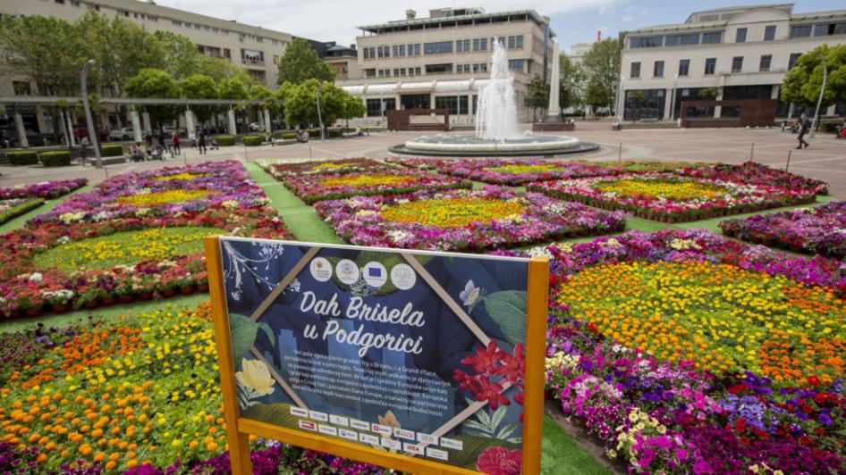 Prvi cvjetni tepih u Crnoj Gori u čast Dana Evrope | Radio Televizija Budva