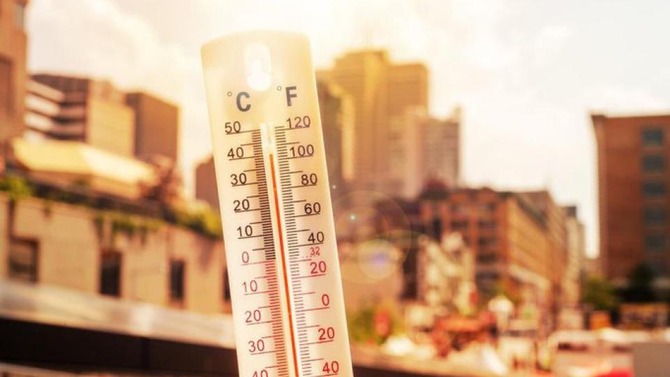 Rekordne vrućine širom svijeta | Radio Televizija Budva