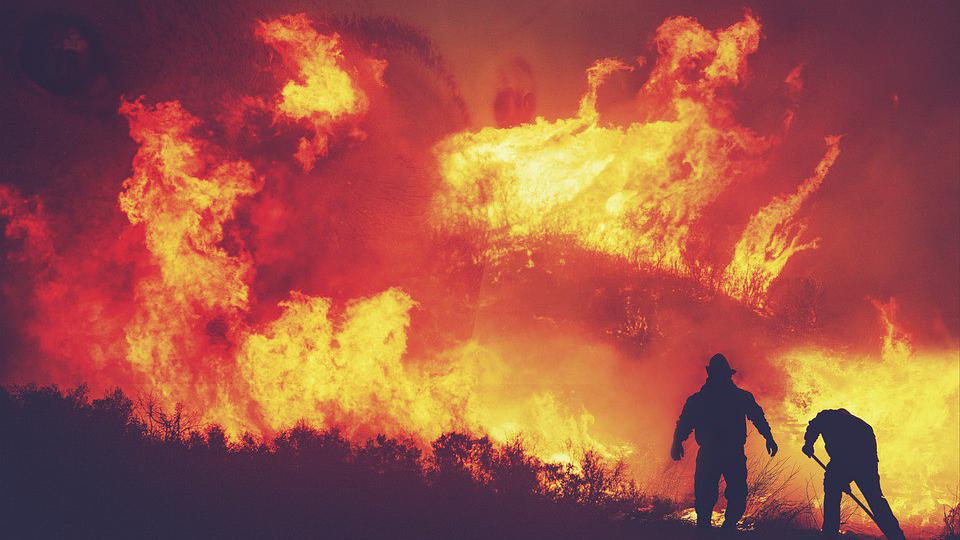 Oprez, zbog visokih temperatura prijete požari, sugrađani da sumnjive radnje prijave policiji | Radio Televizija Budva