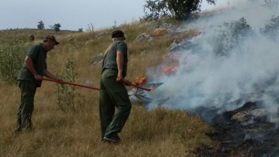 Požar u NP Durmitor i dalje bukti | Radio Televizija Budva