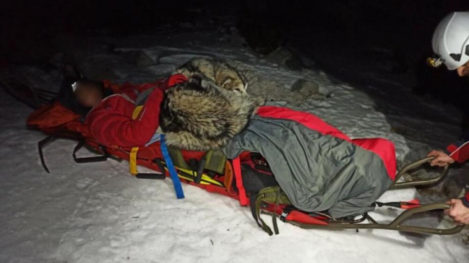 Ovo je ljubav: U nesreći na Velebitu pas 13 sati grijao planinara svojim tijelom | Radio Televizija Budva