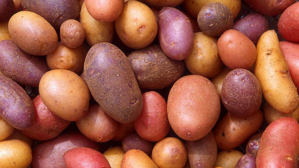 Crveni ili bijeli krompir: U čemu se razlikuju i koji je zdraviji? | Radio Televizija Budva
