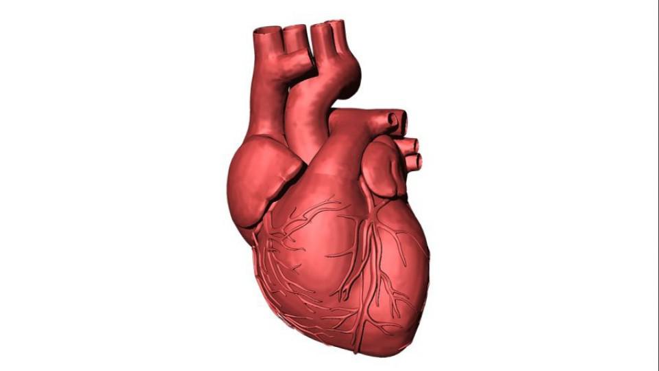 Studija pokazala kako omikron utiče na zdravlje srca | Radio Televizija Budva