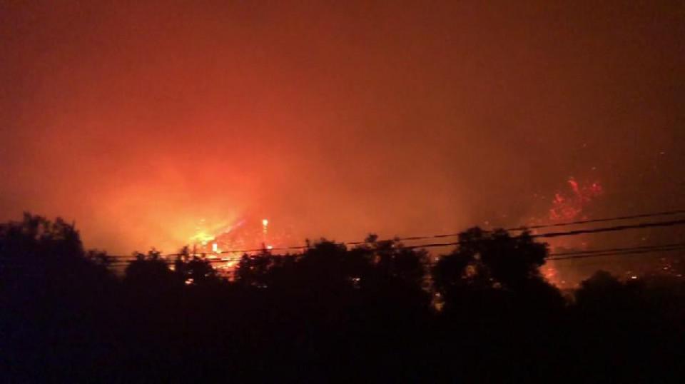 Tokom noći lokalizovan požar u Zelenom pojasu Bara | Radio Televizija Budva