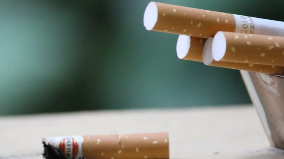 Zabranjuje se prodaja cigareta na pijacama i preko interneta | Radio Televizija Budva