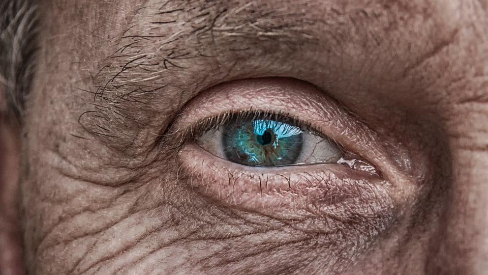 Vještačka inteligencija otkriva rane znakove Alchajmerove bolesti | Radio Televizija Budva