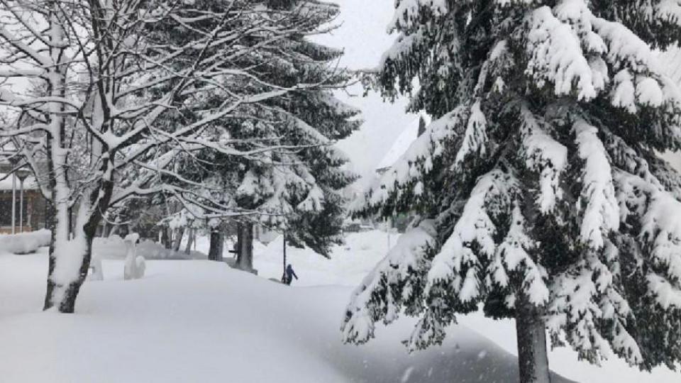 Najviše snijega na Žabljaku | Radio Televizija Budva