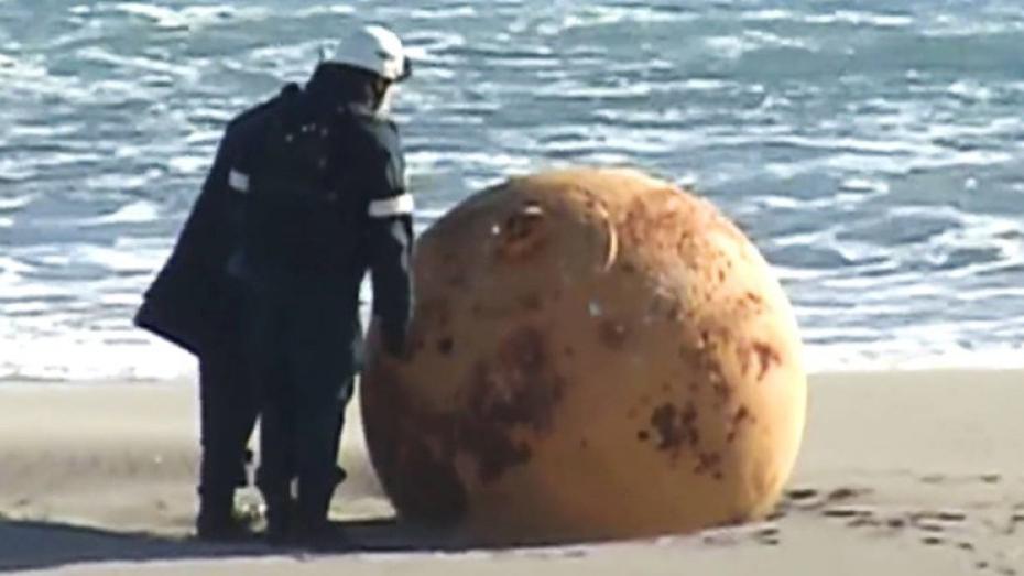 Jaje Godzile iz svemira: Misteriozna lopta na obali Japana pokrenula nagađanja | Radio Televizija Budva