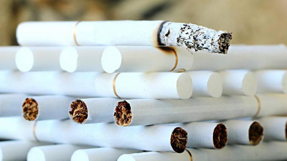 Inspekcija oduzela 409 paklica cigareta | Radio Televizija Budva