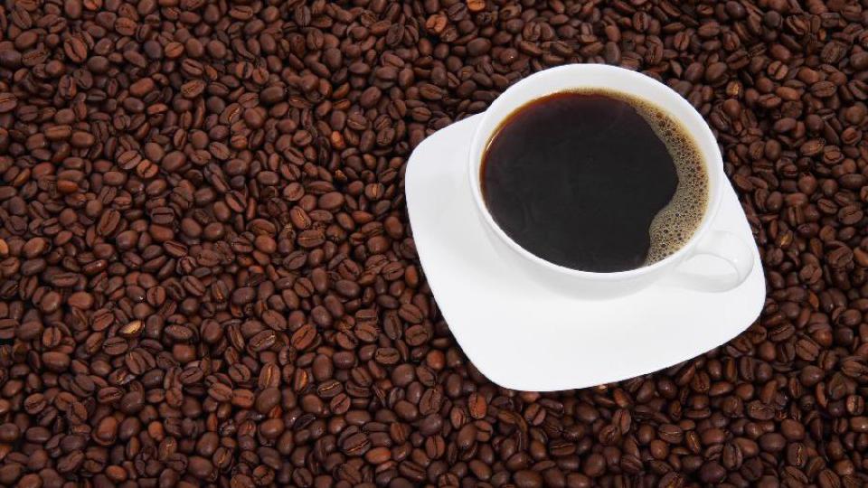 Koliko šoljica kafe dnevno je dobro za zdravlje? | Radio Televizija Budva