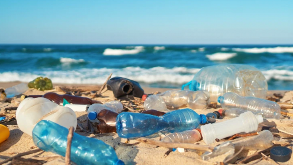 UfM poziva na hitnu akciju zbog plastičnog otpada na Mediteranu | Radio Televizija Budva
