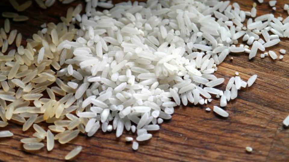 Cijene riže na najvišem nivou u 15 godina | Radio Televizija Budva
