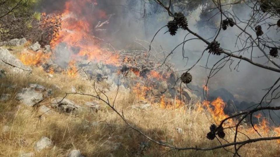 Požar u Kučima i dalje aktivan | Radio Televizija Budva