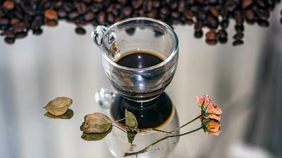 Talog od kafe mogao bi pomoći u liječenju Alchajmera | Radio Televizija Budva