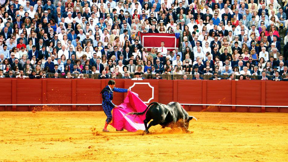 Meksiko vraća borbe s bikovima u najvećoj svjetskoj areni | Radio Televizija Budva