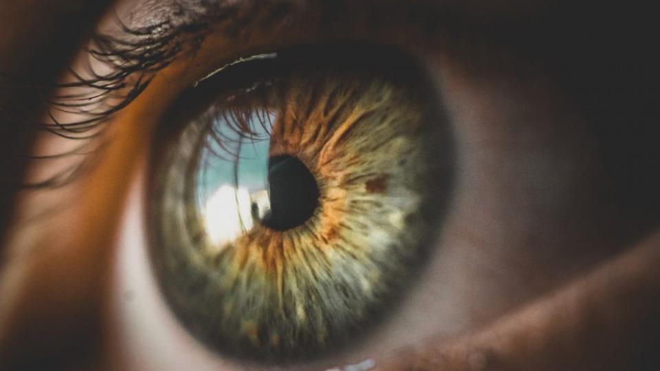 Oko može da predvidi demenciju 12 godina prije dijagnoze | Radio Televizija Budva