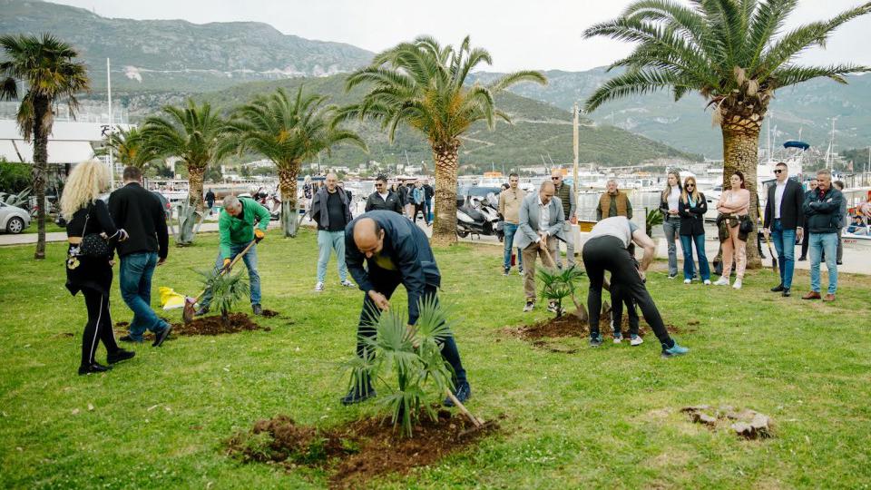 URA u Budvi akcijom sadnje drveća obilježila Dan planete Zemlje | Radio Televizija Budva